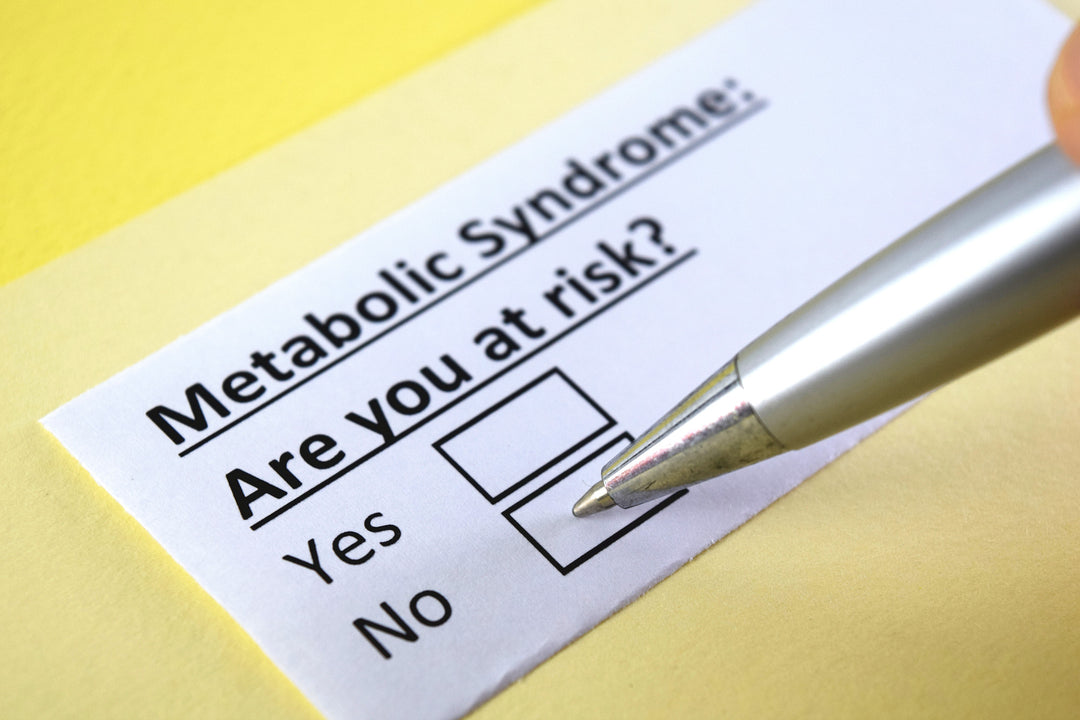 Amata Power lazacfehérje. 87% fehérjetartalom. Gyors felszívódás. Tejmentes. Szénhidrátmentes. Keto. Paleo. Hidrolizált lazac protein. Természetes összetevők. Stevia. Testépítés. Izomtömeg növelés. Regeneráció. Életmódváltás.