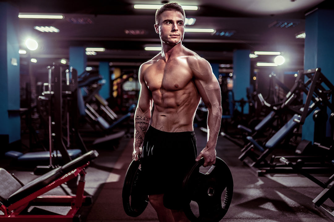Amata Power lazacfehérje. 87% fehérjetartalom. Gyors felszívódás. Tejmentes. Szénhidrátmentes. Keto. Paleo. Hidrolizált lazac protein. Természetes összetevők. Stevia. Testépítés. Izomtömeg növelés. Regeneráció. Életmódváltás. Egészség.